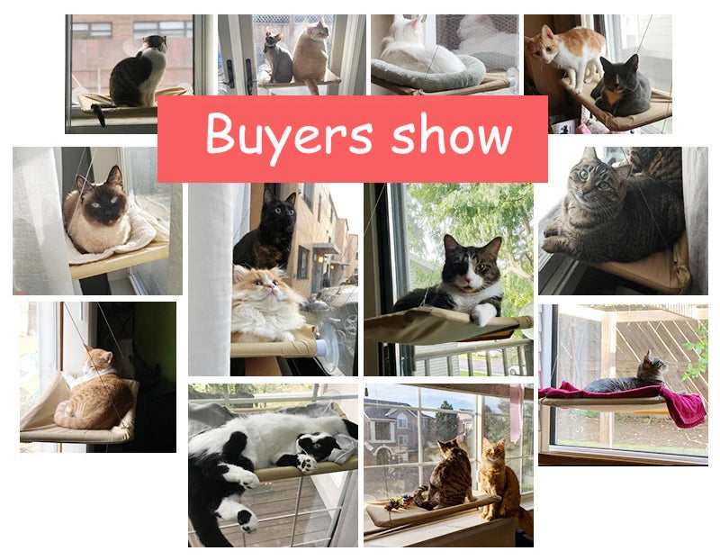 Hanging Cat Bed Pet Cats Hammock Aerial Pet Bed House Kitten Climbing Frame Sunny Window Seat Nest Bearing 20kg Cat Accessories