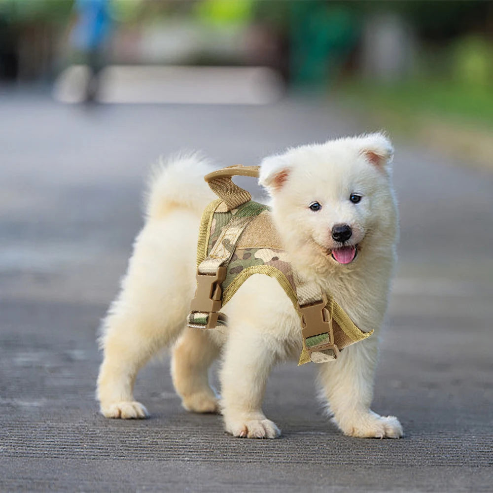Tactical Cat Harness Adjustable Vest For Military Service Puppy Kitten Small Dogs Harnesses Walking Training Cat Accessories