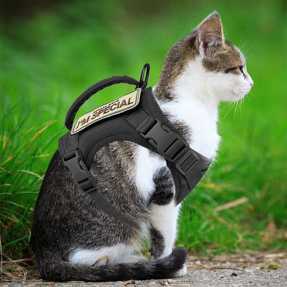 Tactical Cat Harness Adjustable Vest For Military Service Puppy Kitten Small Dogs Harnesses Walking Training Cat Accessories